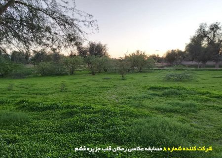 شرکت کننده شماره ۸ مسابقه عکاسی رمکان قلب جزیره قشم