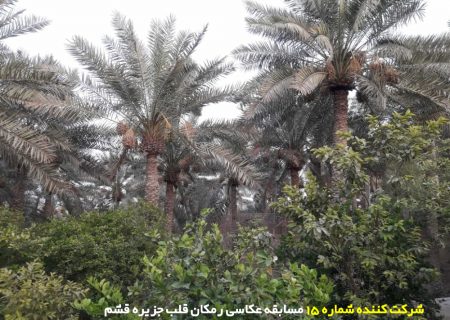 شرکت کننده شماره ۱۵ مسابقه عکاسی رمکان قلب جزیره قشم