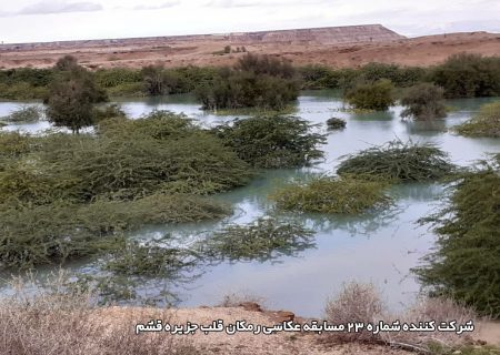 شرکت کننده شماره ۲۳ مسابقه عکاسی رمکان قلب جزیره قشم