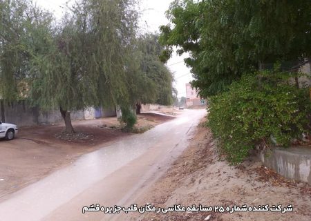 شرکت کننده شماره ۲۵ مسابقه عکاسی رمکان قلب جزیره قشم