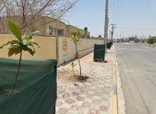 کاشت ۱۵۰ نهال جدید در سطح شهر رمکان توسط واحد خدمات شهری