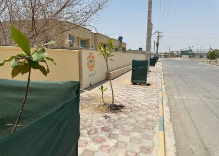 کاشت ۱۵۰ نهال جدید در سطح شهر رمکان توسط واحد خدمات شهری